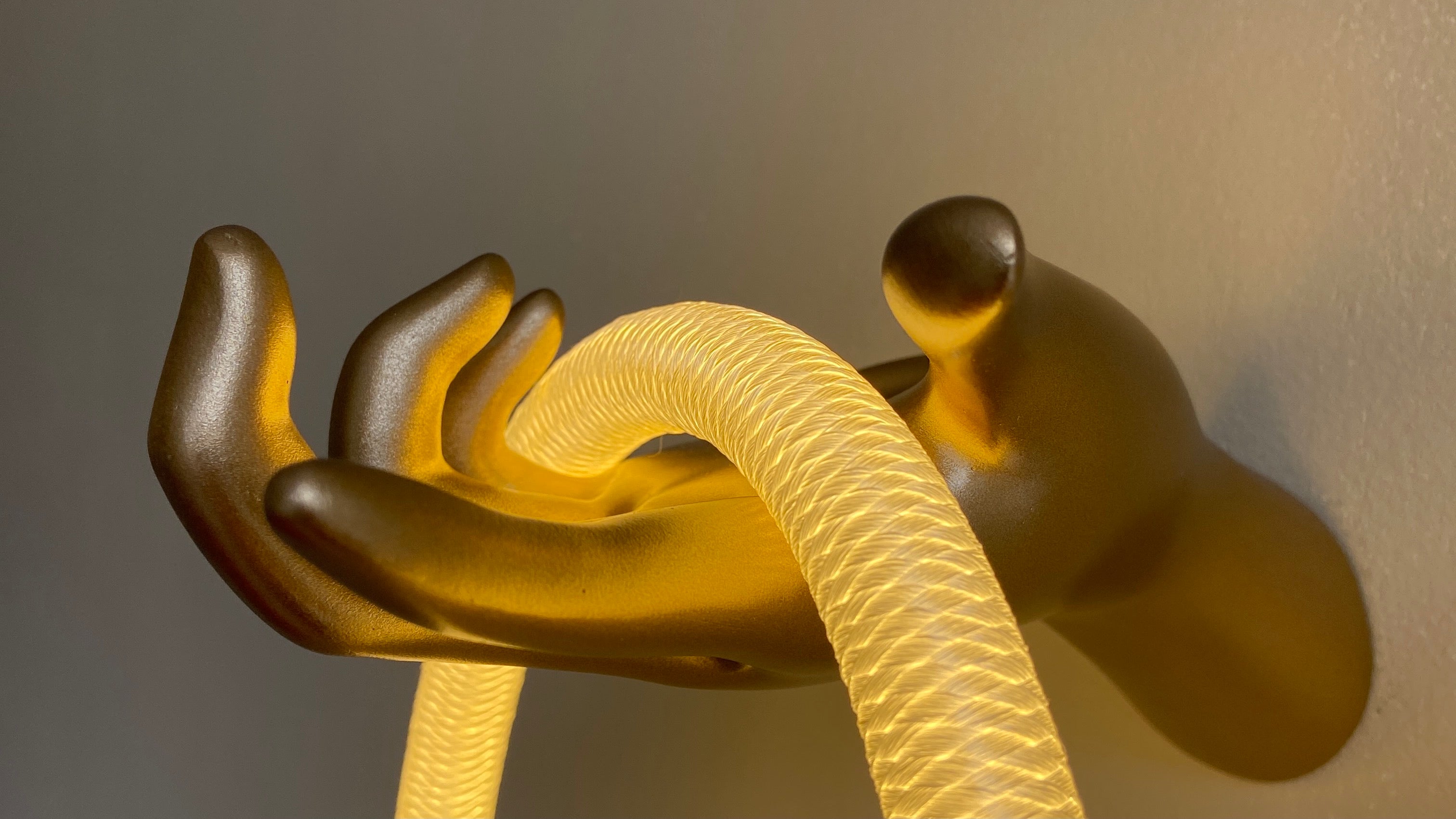 MAKING WAVES WITH THE OCEAN ROPE LIGHT