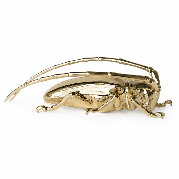 Scarab