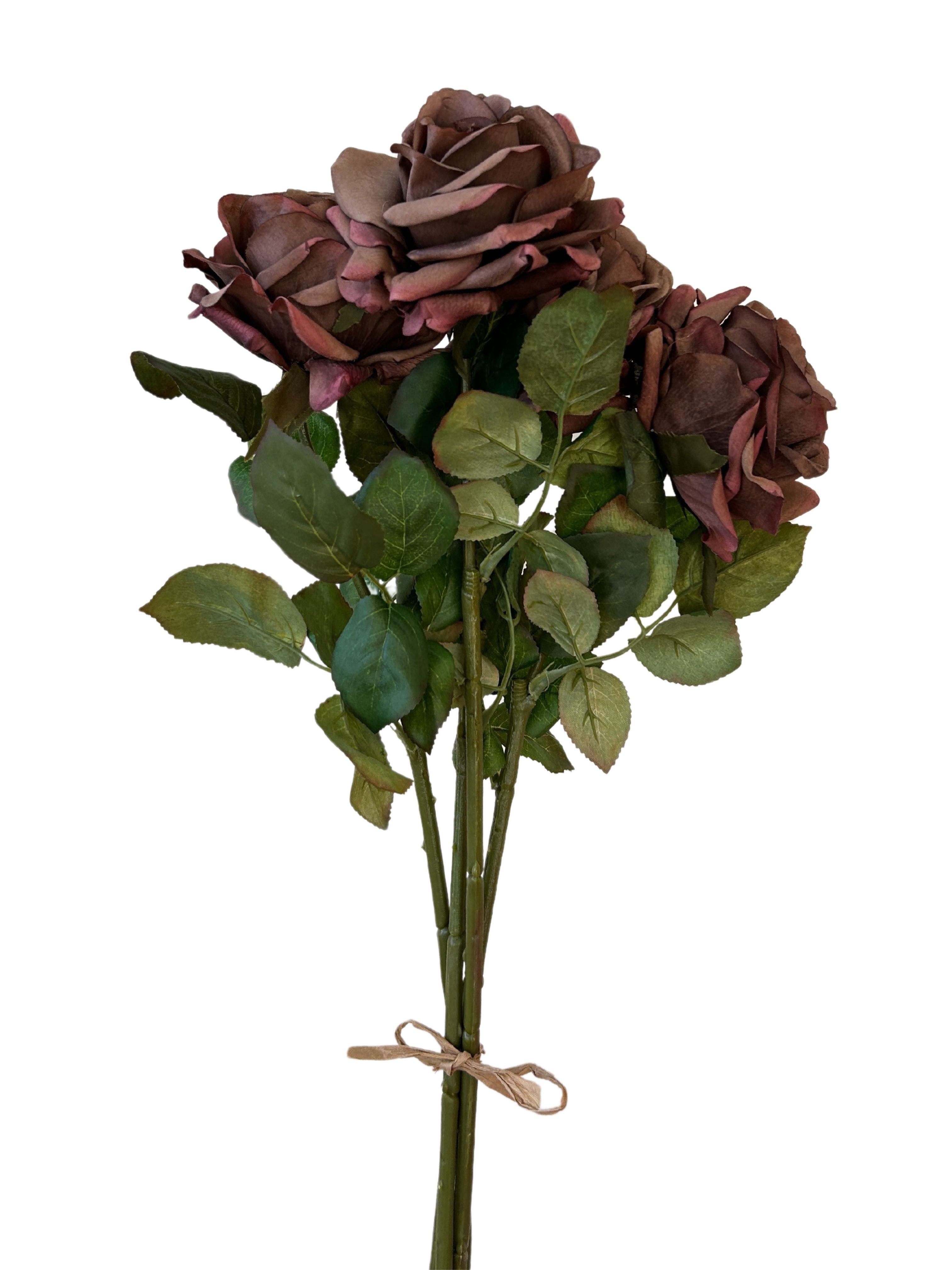 Deep Mauve Rose