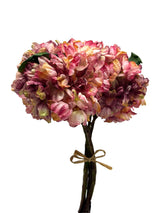 Pink Hydrangea