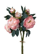 Pink Rose