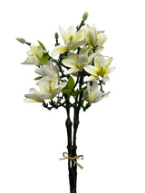 White Orchid