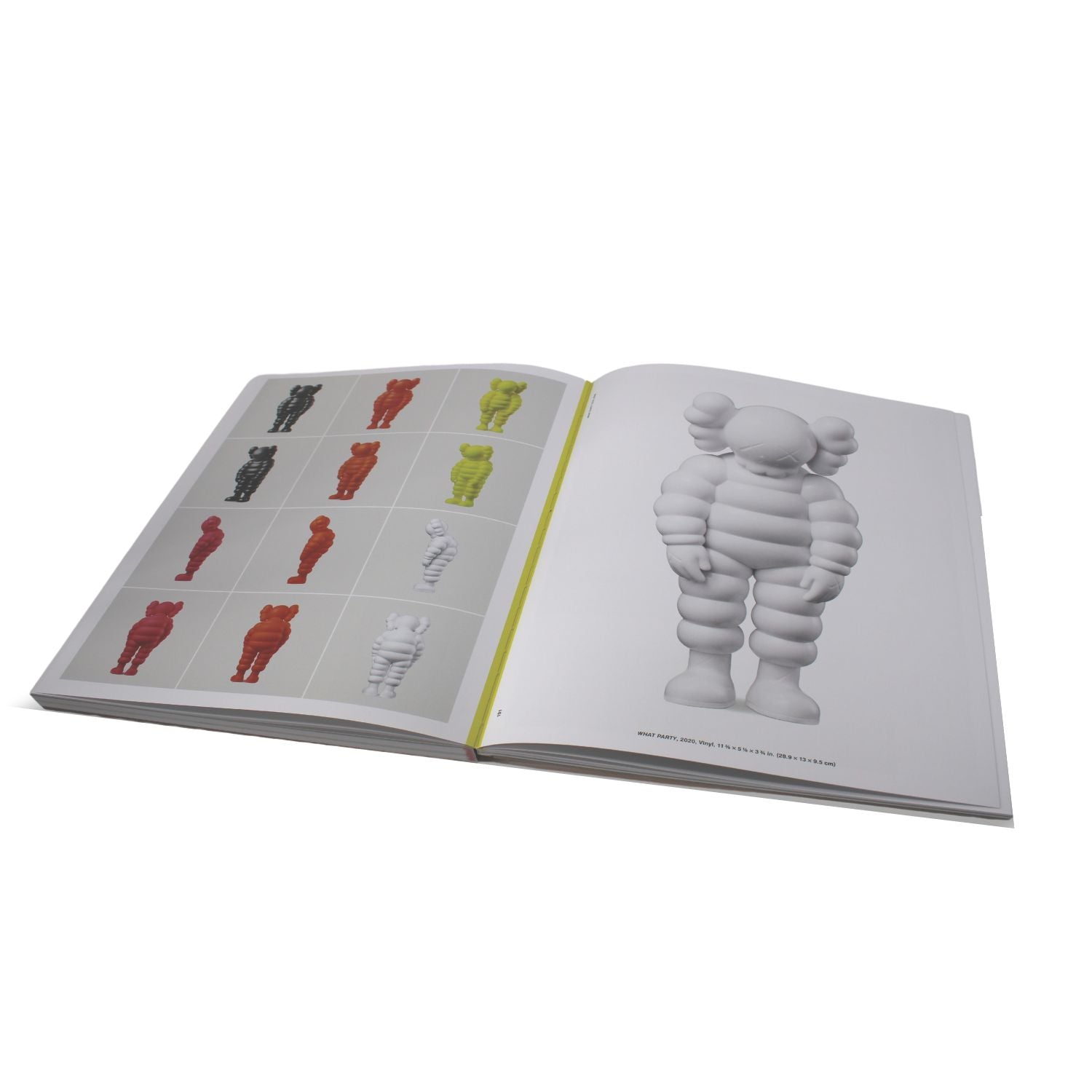 Phaidon KAWS: WHAT PARTY book