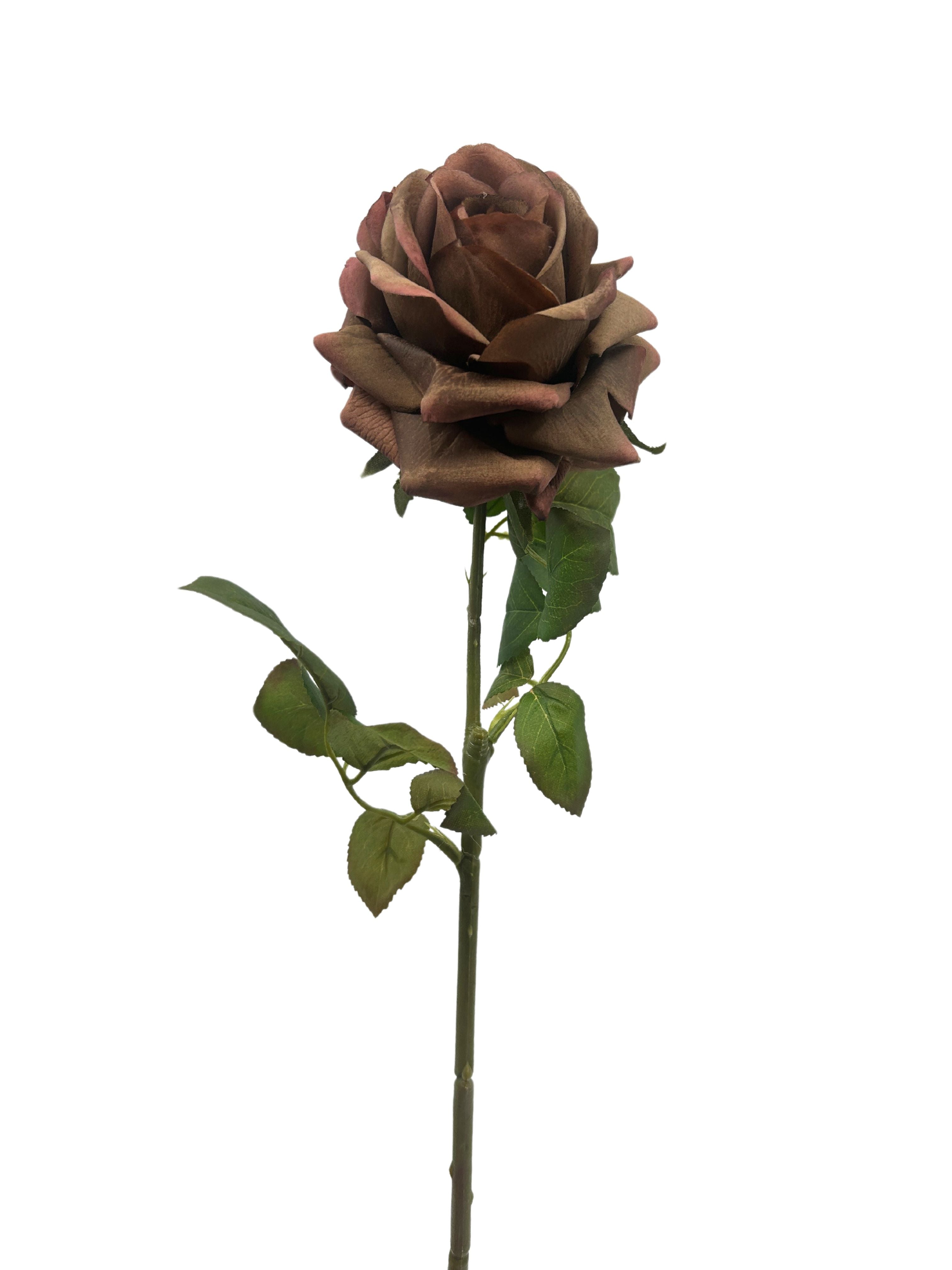 Deep Mauve Rose
