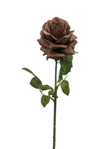 Deep Mauve Rose