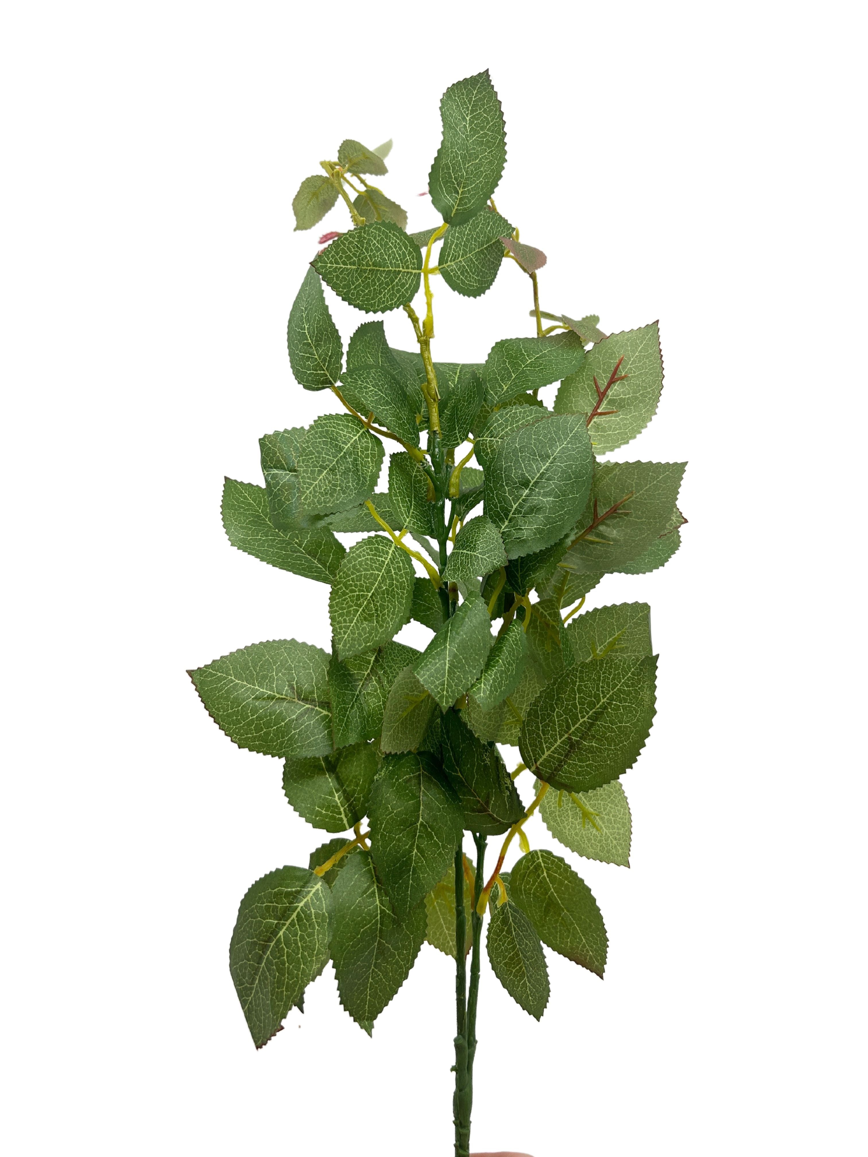 Eucalyptus Filler