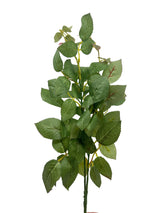 Eucalyptus Filler