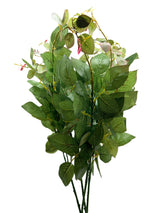 Eucalyptus Filler