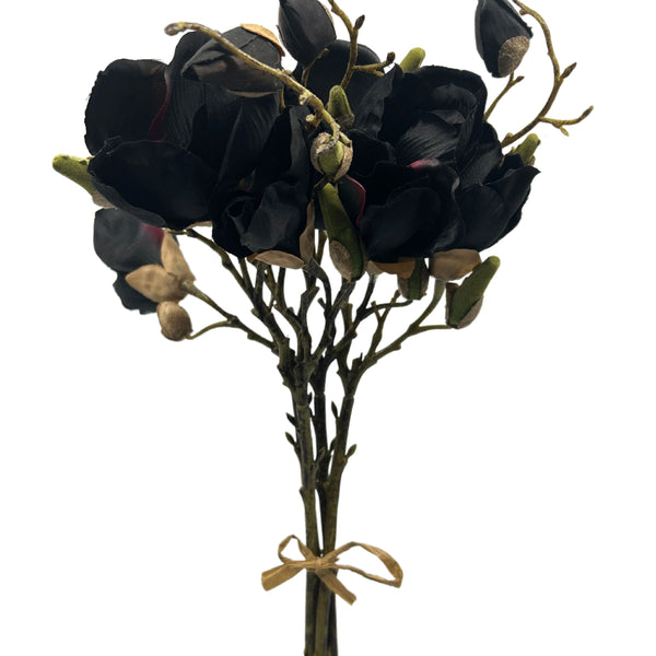 Black Baccara Rose