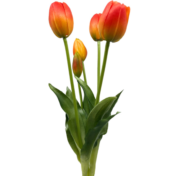 Tulip