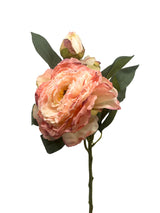 Pink Rose