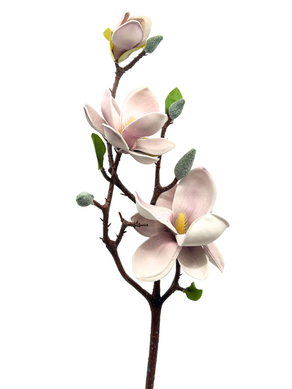 Short Pink Magnolias