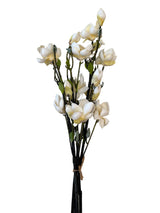 Tall White Magnolia