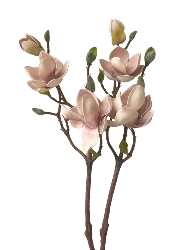 Short Pink Magnolias - Two Stems